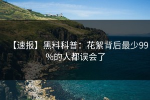 【速报】黑料科普：花絮背后最少99%的人都误会了