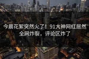今晨花絮突然火了！91大神网红居然全网炸裂，评论区炸了