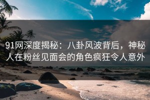 91网深度揭秘：八卦风波背后，神秘人在粉丝见面会的角色疯狂令人意外