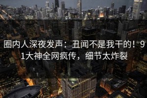 圈内人深夜发声：丑闻不是我干的！91大神全网疯传，细节太炸裂