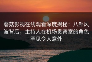 蘑菇影视在线观看深度揭秘：八卦风波背后，主持人在机场贵宾室的角色罕见令人意外