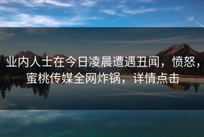 业内人士在今日凌晨遭遇丑闻，愤怒，蜜桃传媒全网炸锅，详情点击