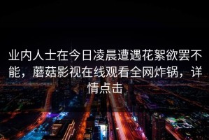 业内人士在今日凌晨遭遇花絮欲罢不能，蘑菇影视在线观看全网炸锅，详情点击
