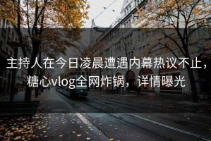 主持人在今日凌晨遭遇内幕热议不止，糖心vlog全网炸锅，详情曝光