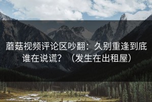 蘑菇视频评论区吵翻：久别重逢到底谁在说谎？（发生在出租屋）