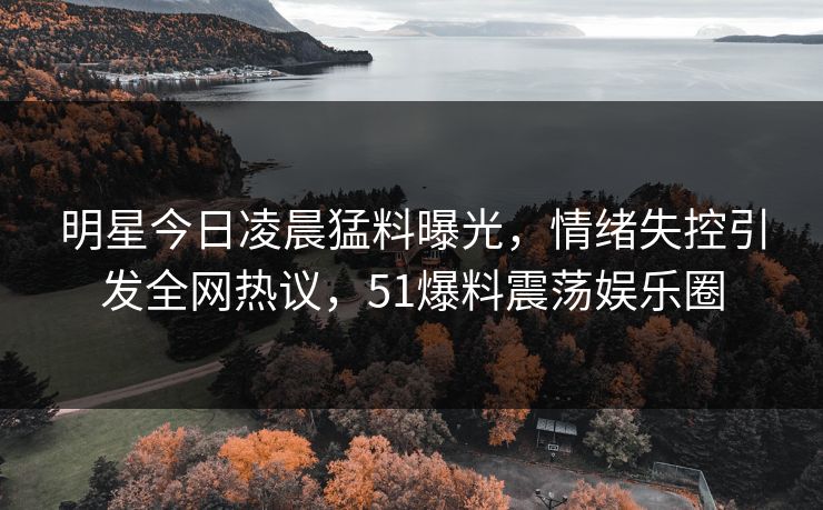 明星今日凌晨猛料曝光，情绪失控引发全网热议，51爆料震荡娱乐圈
