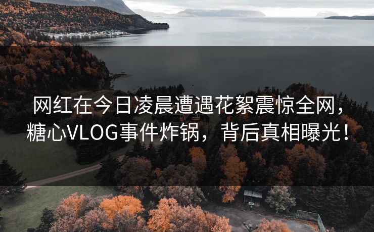 网红在今日凌晨遭遇花絮震惊全网，糖心VLOG事件炸锅，背后真相曝光！