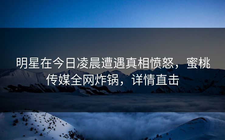 明星在今日凌晨遭遇真相愤怒，蜜桃传媒全网炸锅，详情直击